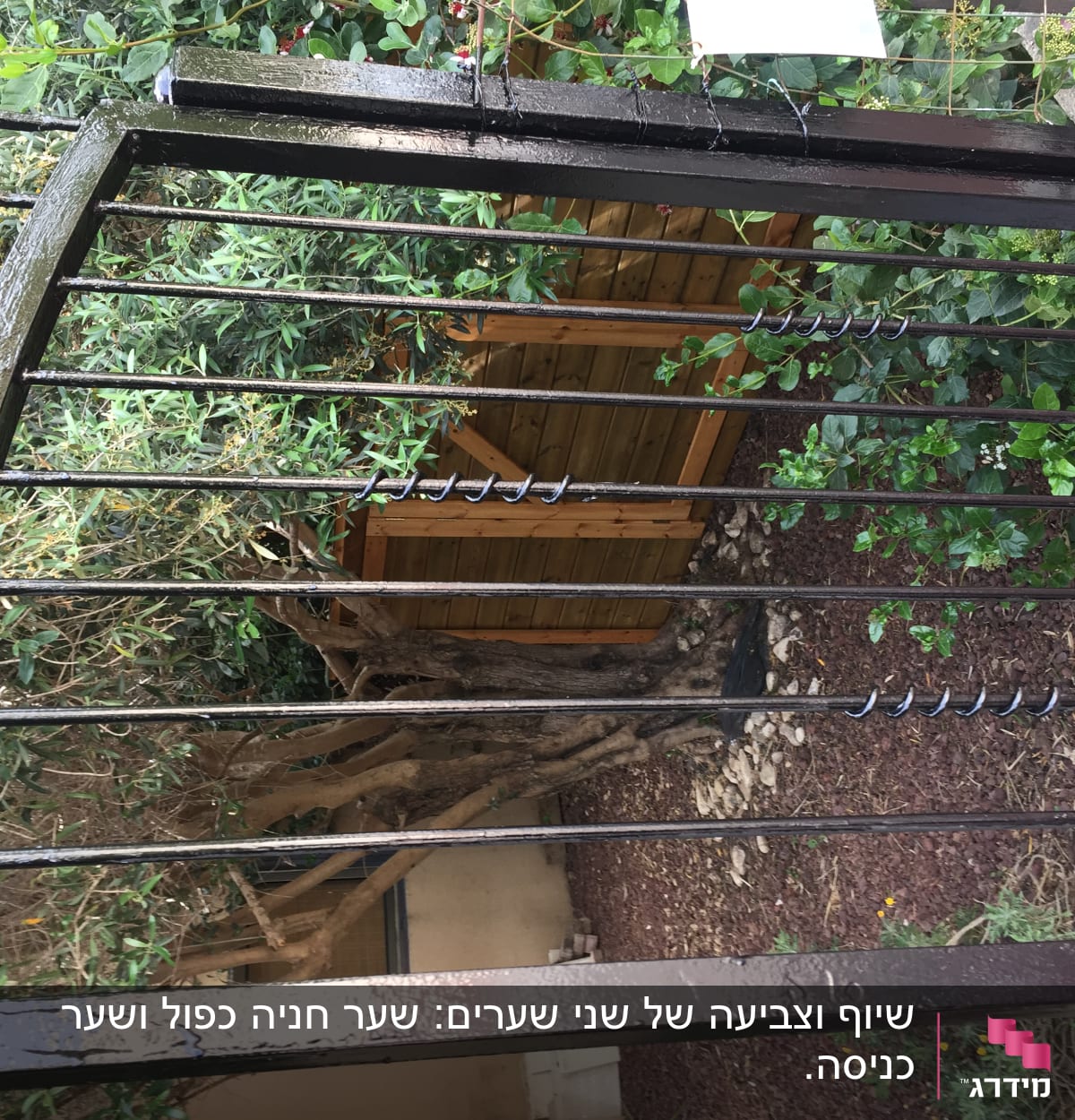 שער מתכת עם חוטי תיל מסולסלים